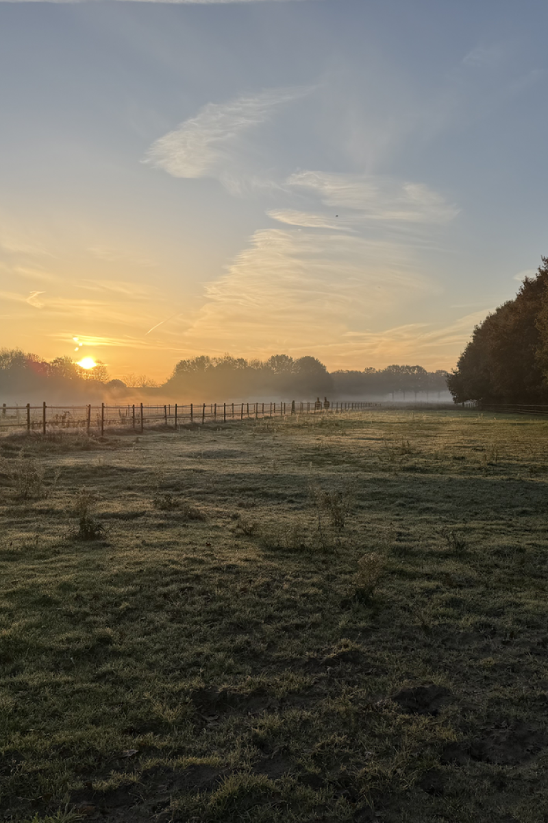 Hero background mobile